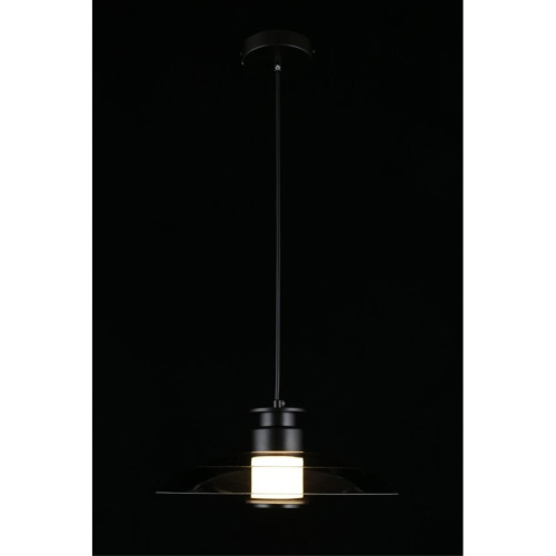 Светильник подвесной APL.648.06.10 фото 12