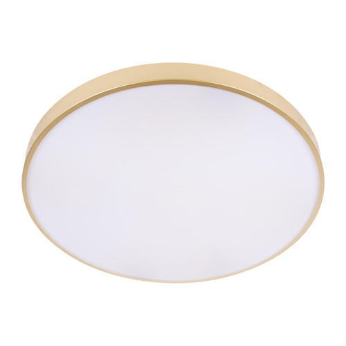 10228/B Потолочный светильник LOFT IT Flims фото 7