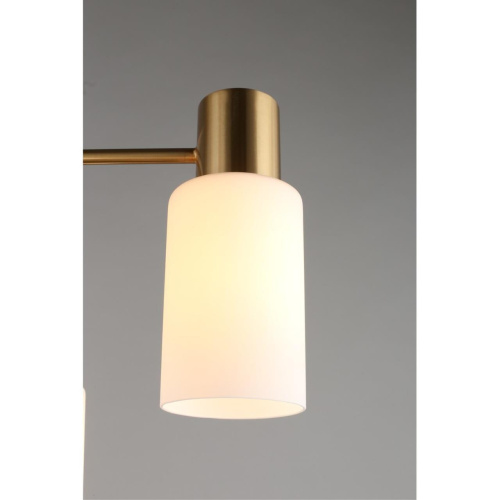 Люстра потолочная OML-69107-08 фото 6