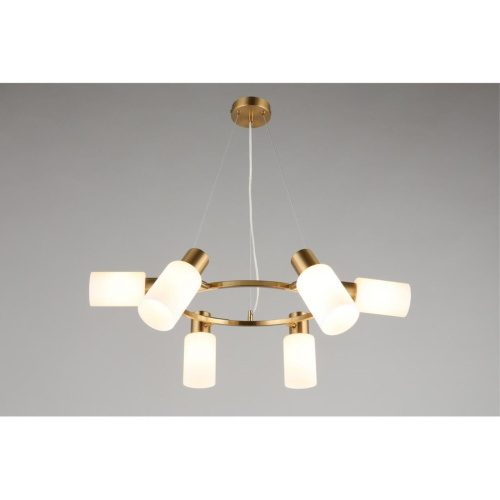 Люстра подвесная OML-69103-06 фото 4