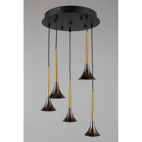 Люстра подвесная APL.784.06.05 фото 6