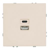 Розетка 2-местная USB + Type C (механизм), STEKKER, 250В, 20W, серия Эмили, RST10-5115-08, кашемир, soft touch