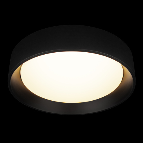 10202 BB  Потолочный светильник  LOFT IT Coin фото 3