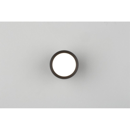 Светильник настенно-потолочный OML-102439-05 фото 2