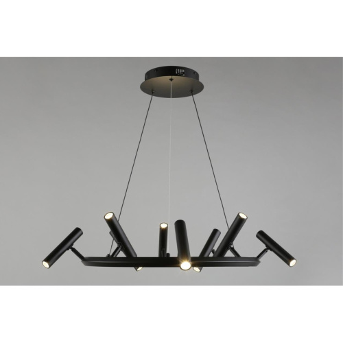 Люстра подвесная APL.067.03.40 фото 5