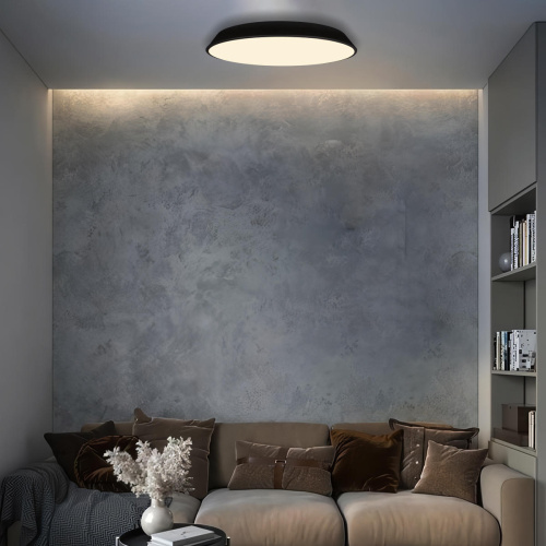 10226 Black Потолочный светильник LOFT IT Brim фото 5