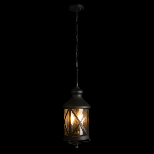 100020P Уличный подвесной светильник LOFT IT Ferrara фото 4