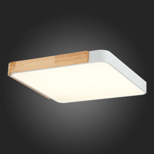 SLE201252-01 Светильник потолочный Белый, Светлое дерево/Белый LED 1*42W 3000K/4000K/6000K FESTA фото 2