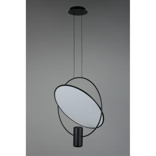 Светильник подвесной OML-29806-02 фото 4