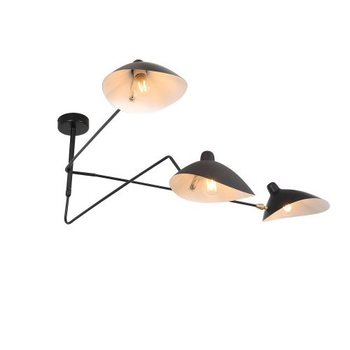 SL305.402.03 Люстра потолочная ST-Luce Черный/Черный, Белый E27 3*60W SPRUZZO фото 13