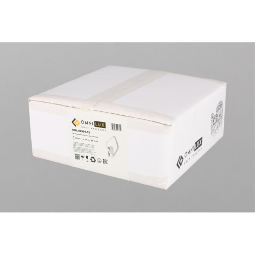 Светильник настенный (Бра) OML-02901-12 фото 4 Светильник настенный (Бра) OML-02901-12 фото 4