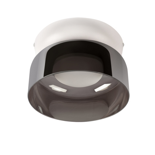 10466 Smoke Потолочный светильник LOFT IT Totem