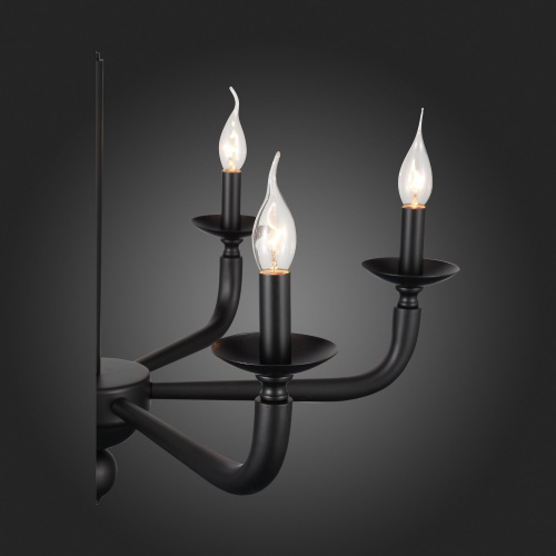 SL1114.403.06 Люстра подвесная ST-Luce Черный E14 6*40W FORTEZA фото 8