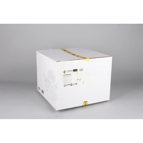 Люстра подвесная OML-59603-08 фото 10