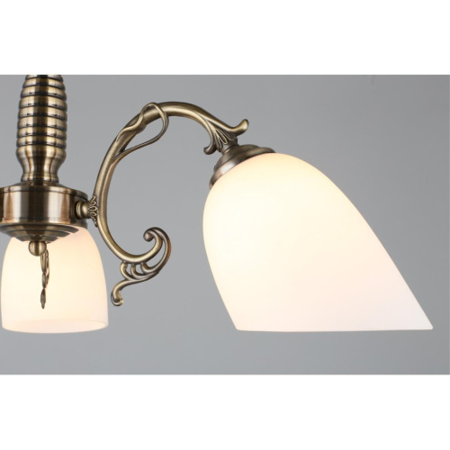 Люстра подвесная OML-56407-03 фото 6 Люстра подвесная OML-56407-03 фото 6