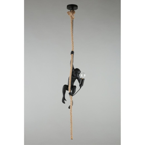 Светильник подвесной APL.309.16.01 фото 2