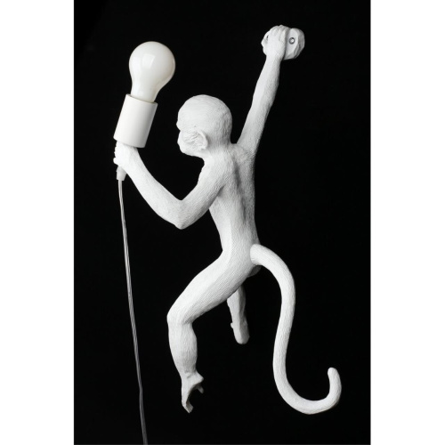 Светильник настенный (Бра) APL.309.11.01 фото 9 Светильник настенный (Бра) APL.309.11.01 фото 9