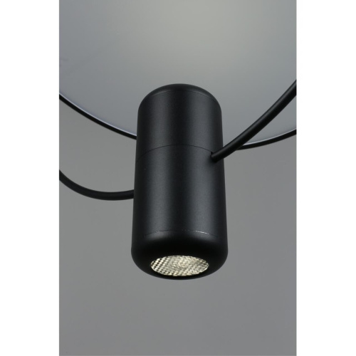 Светильник подвесной OML-29806-02 фото 8