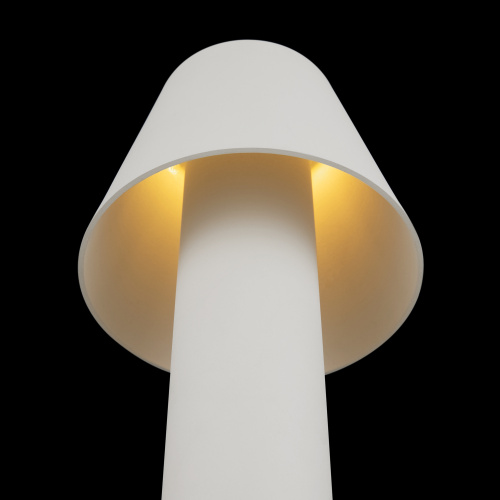 Ландшафтный светильник Outdoor O421FL-L5W фото 8