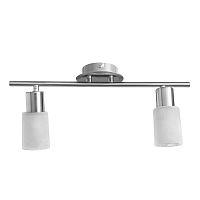 Спот Arte Lamp A4510PL-2SS