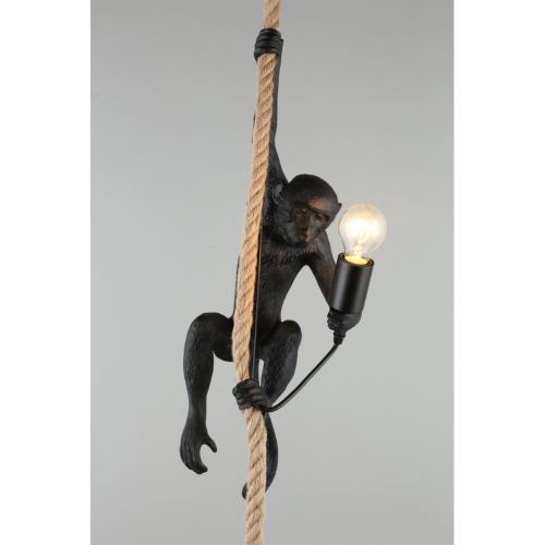 Светильник подвесной APL.309.16.01 фото 5