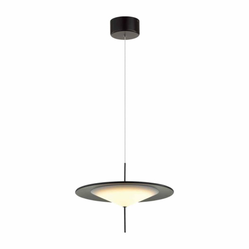 Подвесной светодиодный светильник Odeon Light Steka 5012/16L фото 4