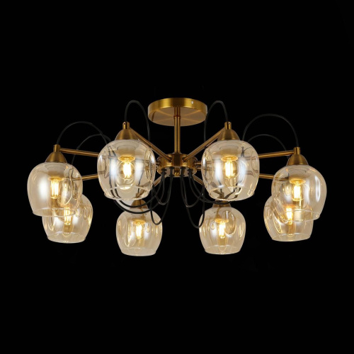 Потолочная люстра Evoluce Acro SLE110002-08 фото 2