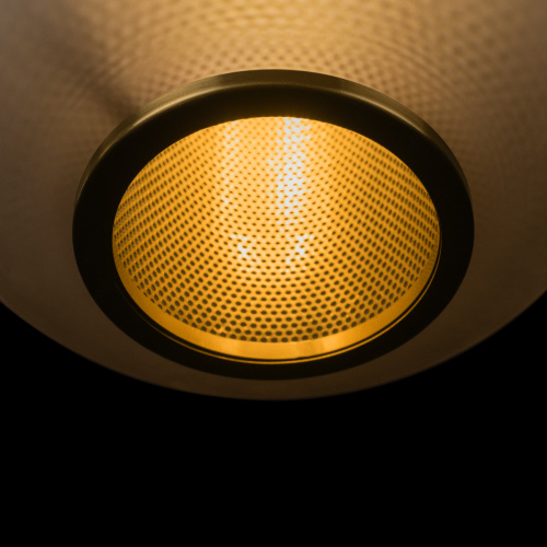 10425 Grey Подвесной светильник LOFT IT Hive фото 3 10425 Grey Подвесной светильник LOFT IT Hive фото 3