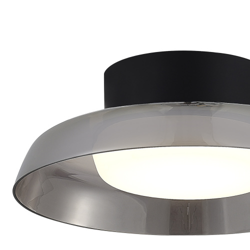 SL6019.412.01 Светильник потолочный ST-Luce Черный/Дымчатый, Белый LED 1*36W 3000K FORAY фото 2