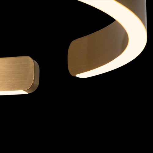 10013S Подвесной светильник LOFT IT Ring фото 5 10013S Подвесной светильник LOFT IT Ring фото 5