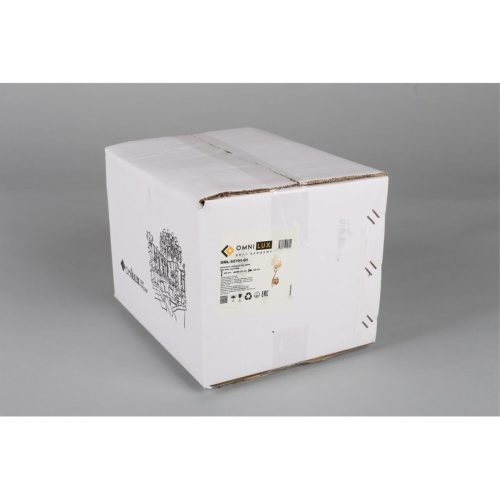 Светильник настенный (Бра) OML-52701-01 фото 10