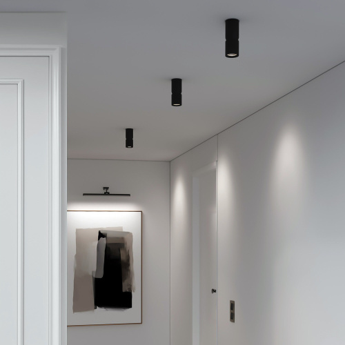 Светильник потолочный светодиодный 12W 4000К чёрный 25048/LED фото 2