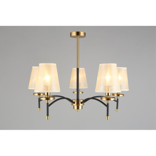 Люстра потолочная OML-67307-05 фото 5