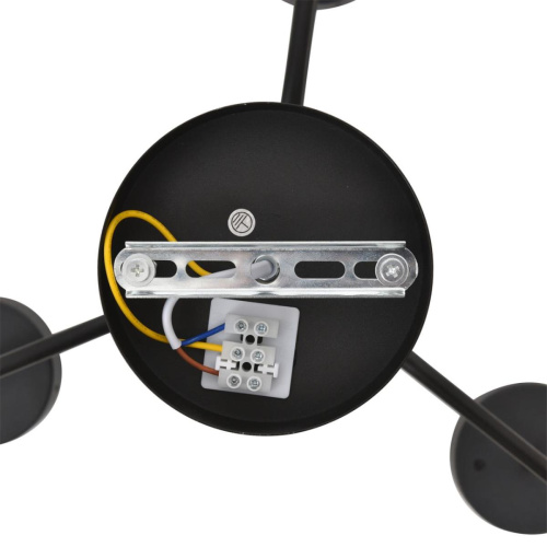 Люстра Lumion NATALINA 8349/6C фото 4