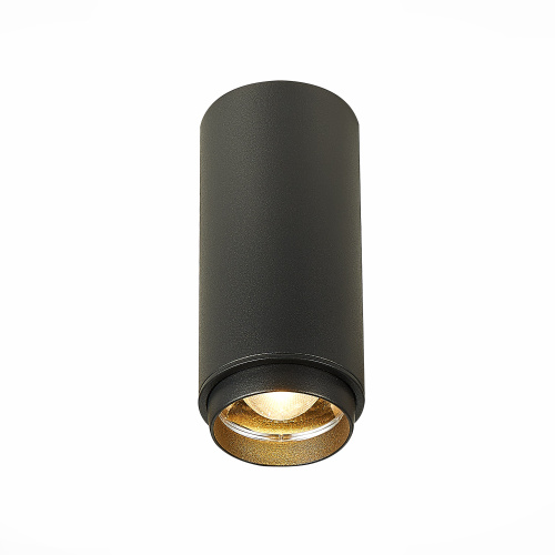 ST600.432.10 Светильник потолочный Zoom Черный LED 1*10W 3000K 1 000Lm Ra>80 15-60° IP20 D59xH130 17 Накладные светильники фото 5