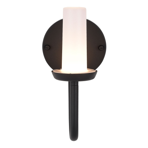 SL9539.701.01 Светильник уличный настенный ST-Luce темно-серый LED 1*3W 3000K CANDLE фото 3