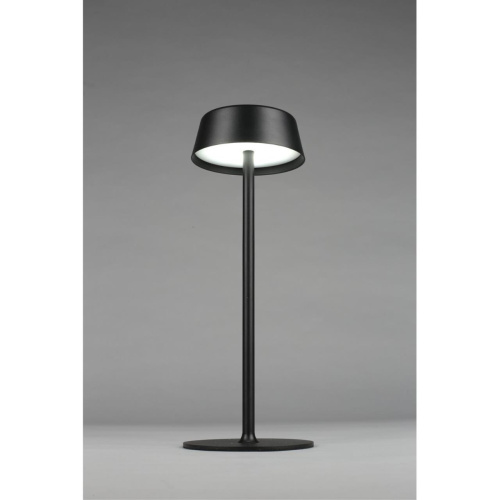 Настольная лампа OML-40504-01 фото 8 Настольная лампа OML-40504-01 фото 8