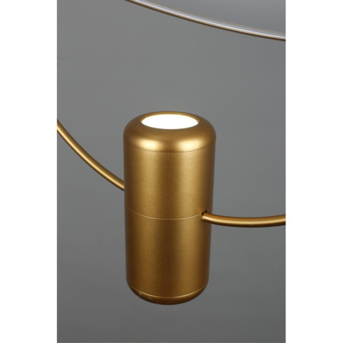 Светильник подвесной OML-29816-02 фото 8