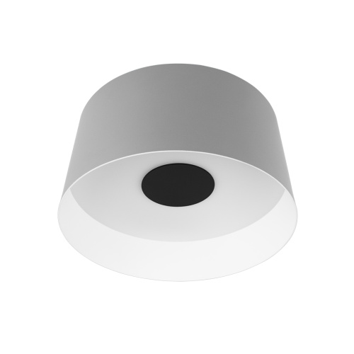 10360M Grey Потолочный светильник LOFT IT Duo 10360M Grey Потолочный светильник LOFT IT Duo