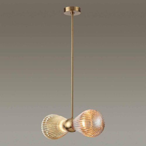 Подвесная люстра Odeon Light Exclusive Elica 5402/2 фото 3