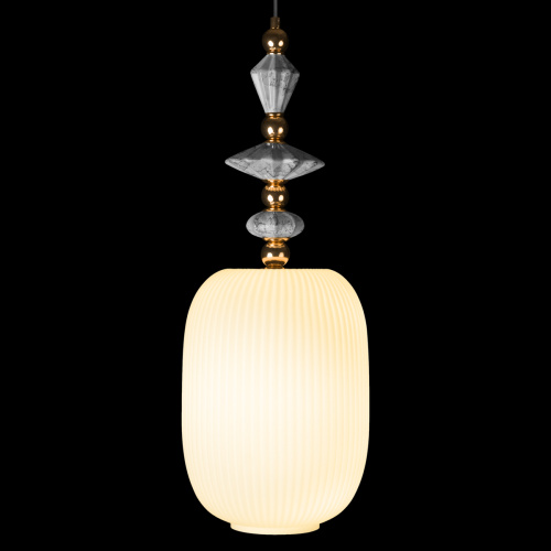 10365/G Подвесной светильник LOFT IT Family фото 8