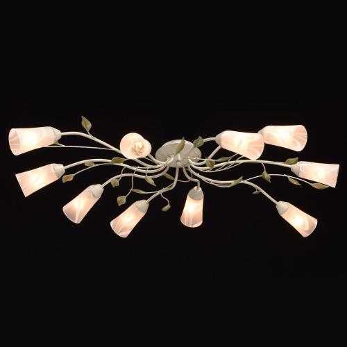 Люстра потолочная MW-Light Восторг 242015510 фото 4