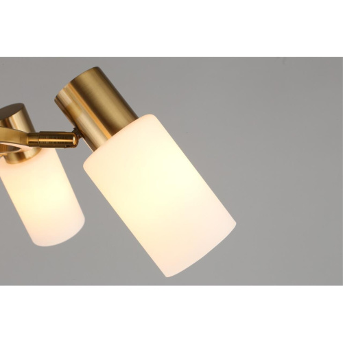 Люстра подвесная OML-69103-06 фото 2