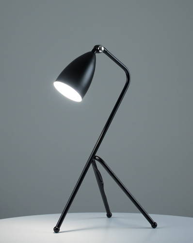 Лампа настольная Moderli V10998-T Show фото 7