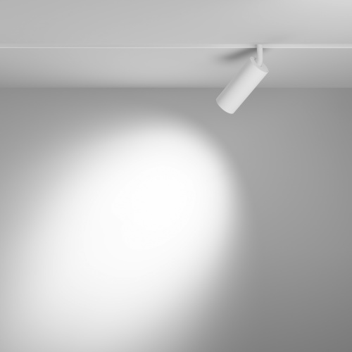 Трековый светильник Technical TR032-2-12W3K-S-W фото 14