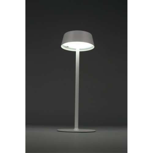 Настольная лампа OML-40514-01 фото 5