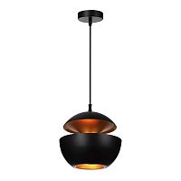 LOFT2212-B Подвесной светильник LOFT IT Apple