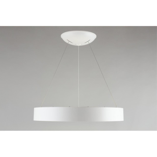 Люстра подвесная APL.052.03.60 фото 6