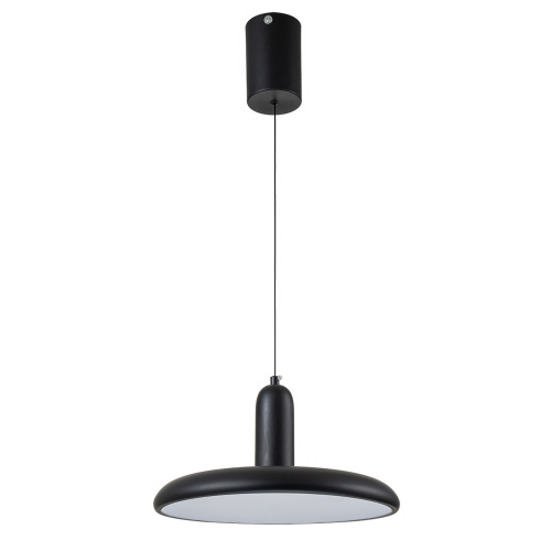 Подвесной светильник Escada 10230/1 LED*18W Black фото 2