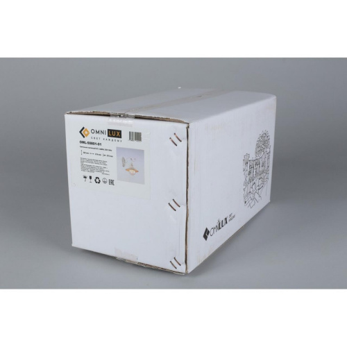 Светильник настенный (Бра) OML-50801-01 фото 4